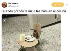 Enlace a Menudos festines se pegan cada noche, por @Flantasma1