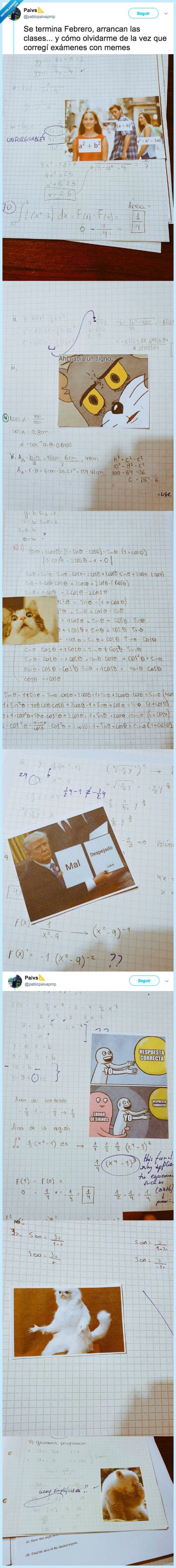 memes,profesor,exámenes,corregir