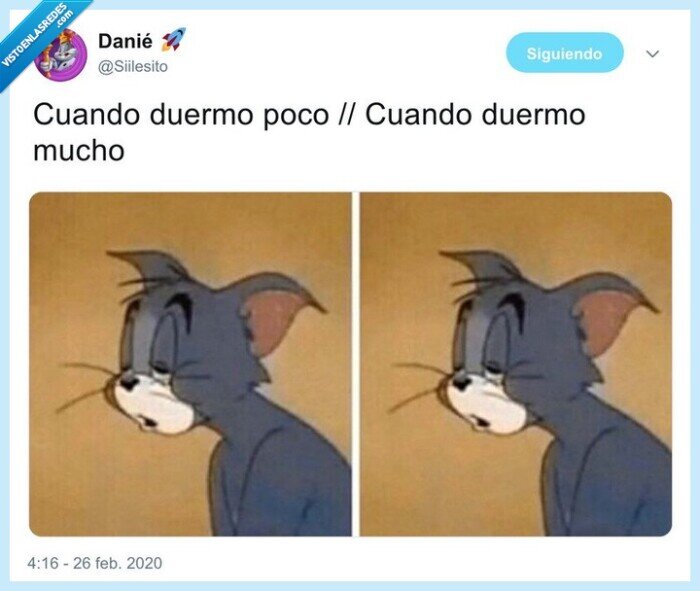 jerry,dormir,poco,mucho