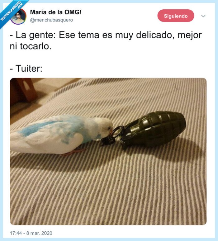twitter,periquito,granada