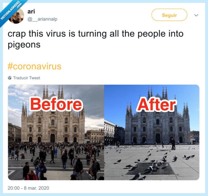 coronavirus,palomas,sitios