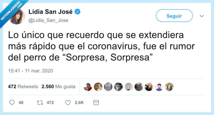 perrito,ricky martin,rumor,sorpresa sorpresa