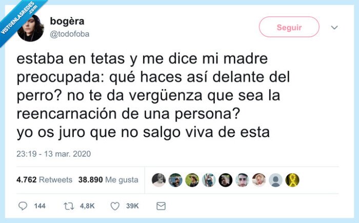 coronavirus,en tetas,perro,mirar