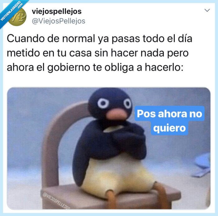 cuarentena,virus,coronavirus,covid19,pingu,mene,memes,humor