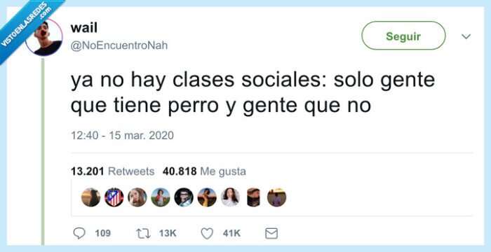 perro,clases sociales,coronavirus