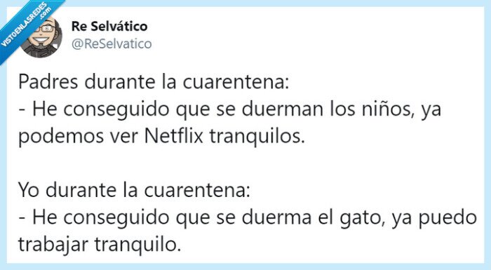 cuarentena,gatos,niños,padres