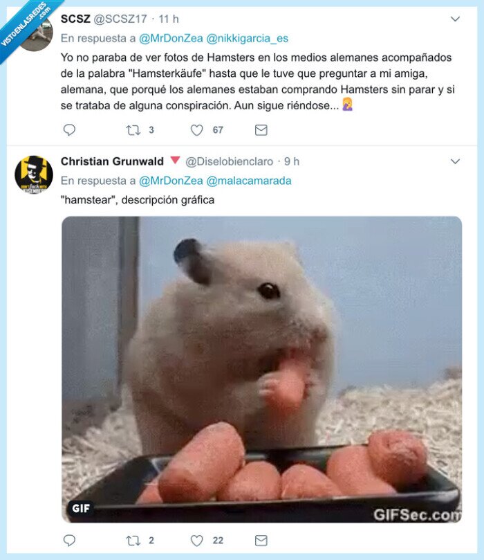 543795 - Una intérprete de signos holandesa tiene que improvisar el hamster en medio de la cuarentena