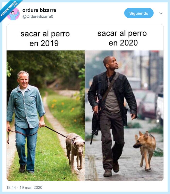 soy leyenda,perro,pasear,coronavirus