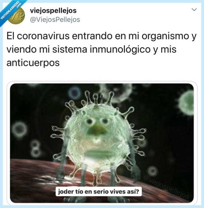 virus,coronavirus,cuerpo,anticuerpos,cuarentena,fail,humor