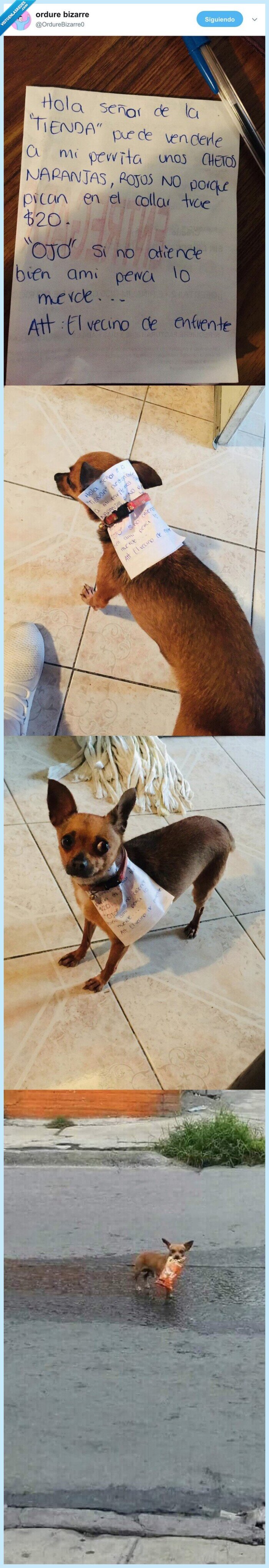 coronavirus,perro,chetos,mandar,comida,comprar