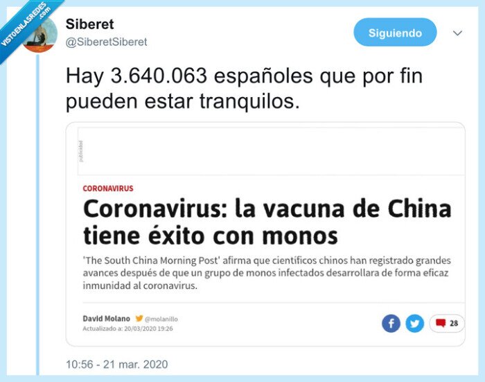 españa,monos,coronavirus,vacuna