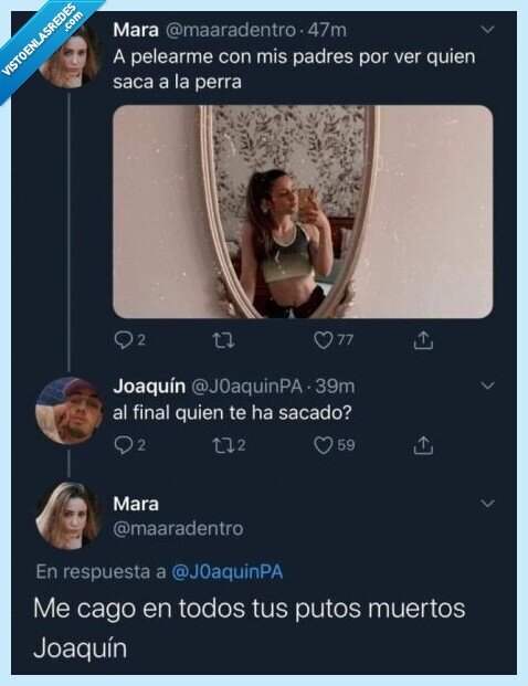 perra,pasear,coronavirus