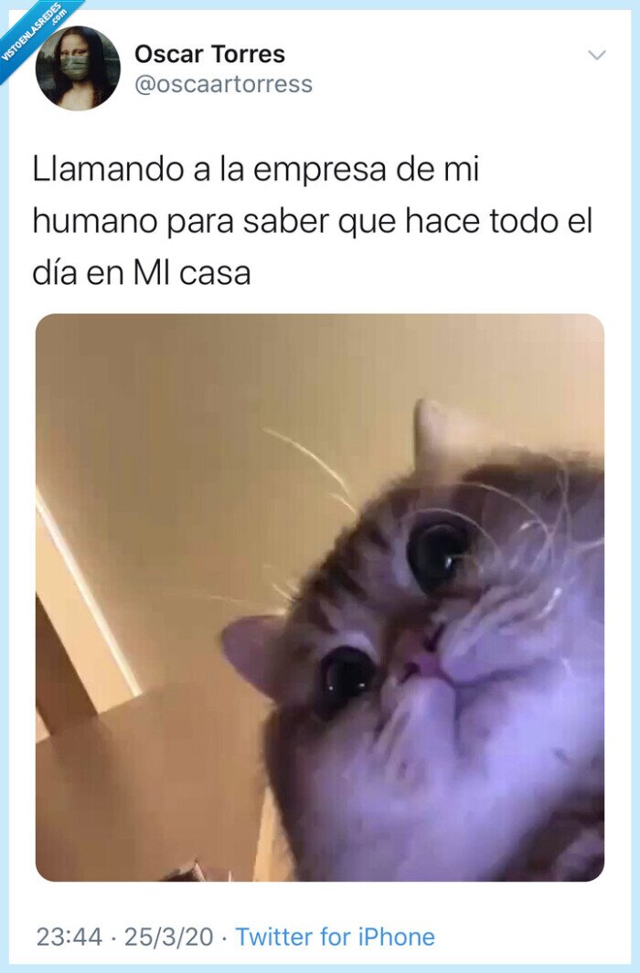 meme,cuarentena,twitter,tweet,gracioso,coronavirus,risa,covid19