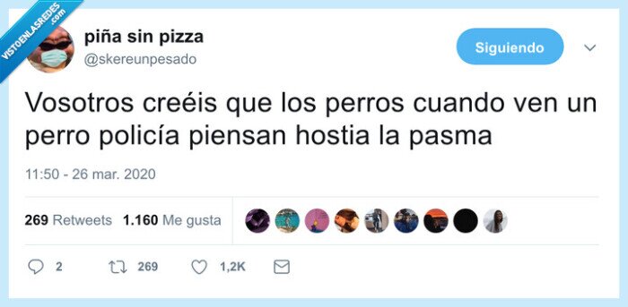 perros,perro policia