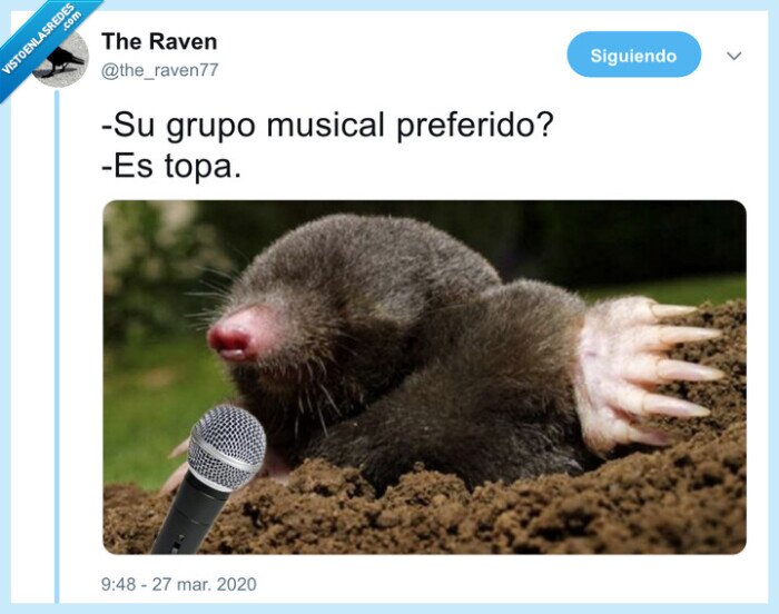 topo,estopa,chistaco