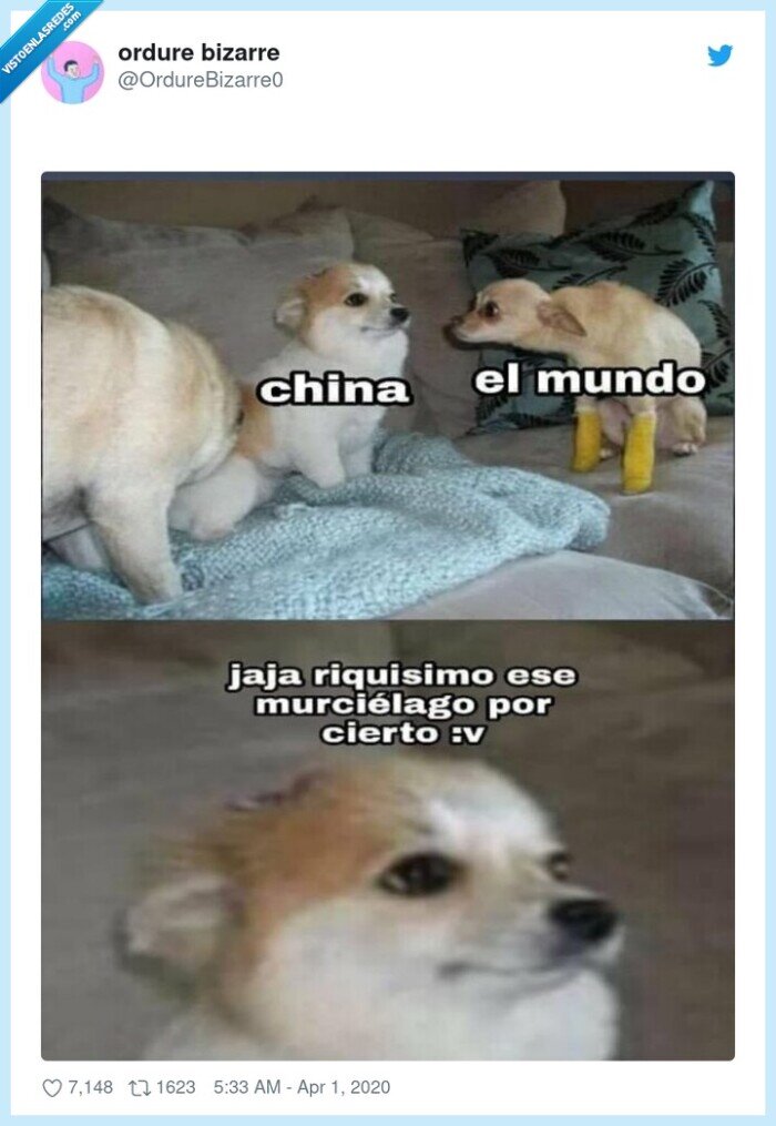 coronavirus,china,murciélago