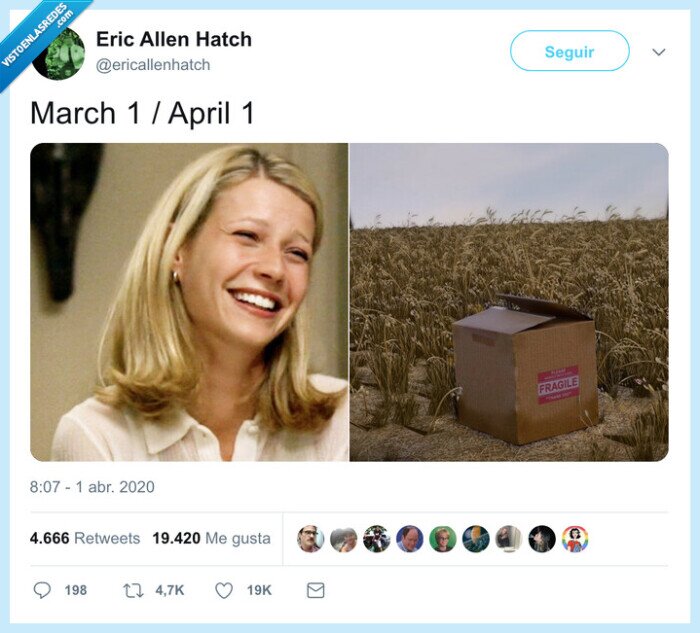 seven,película,así nos va,paltrow