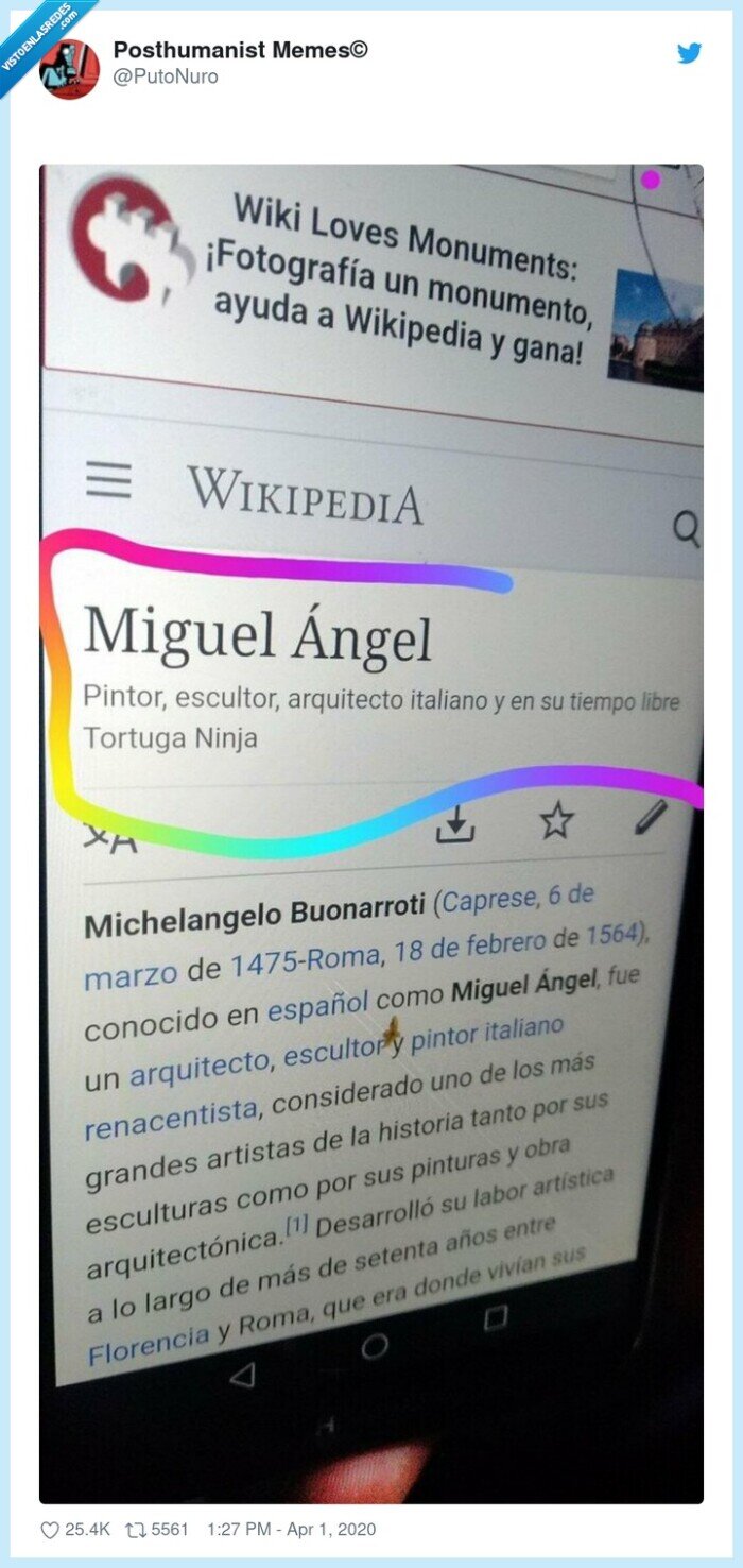 michelangelo,tortuga ninja