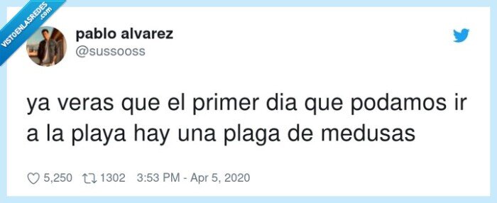 medusas,podamos,primer,veras,playa,plaga