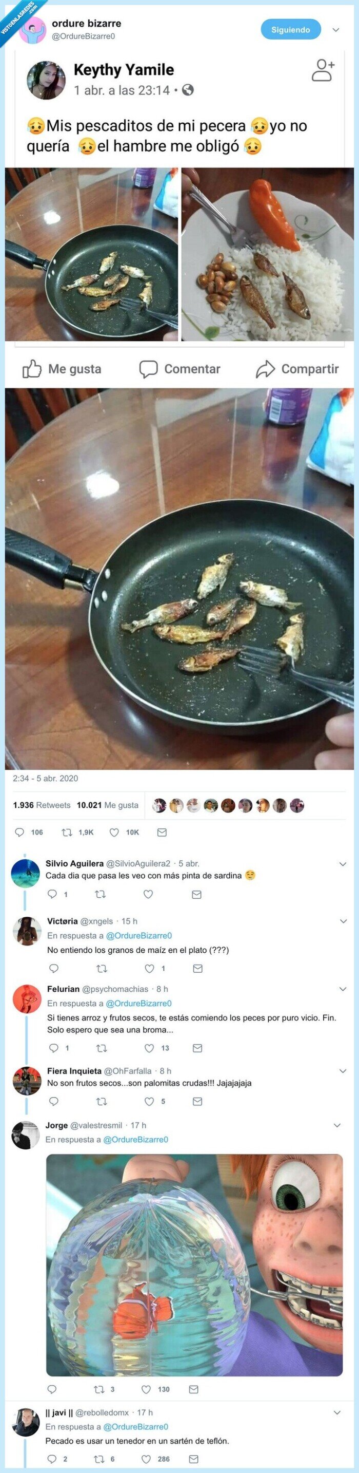 peces,pecera,acuario,comer,cocinar