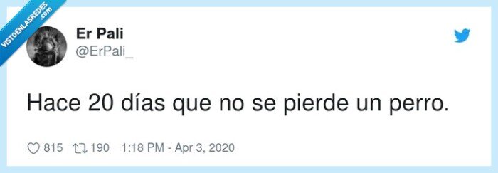 perderse,días,perro,cuarentena