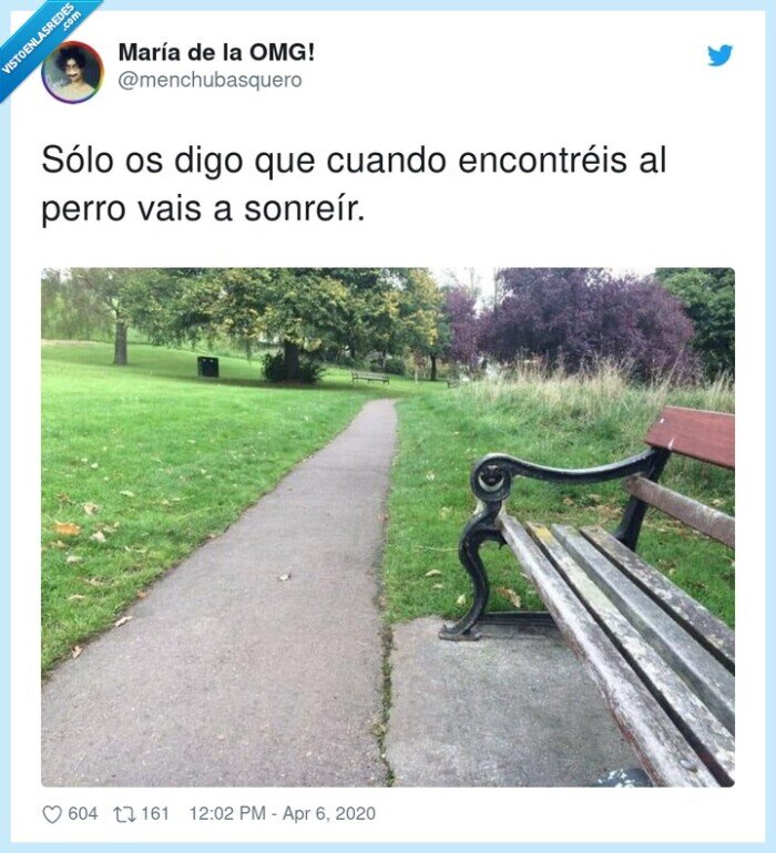 encontr&eacute;is,sonre&iacute;r,cuando,S&oacute;lo,perro