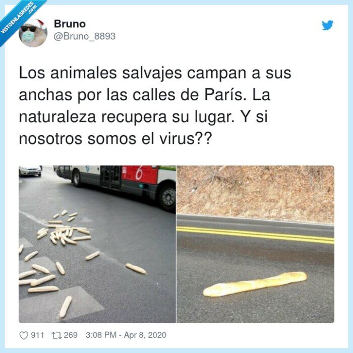 naturaleza,animales,salvajes,recupera,nosotros,campan