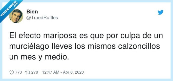 calzoncillos,murciélago,mariposa,efecto,lleves,mismos