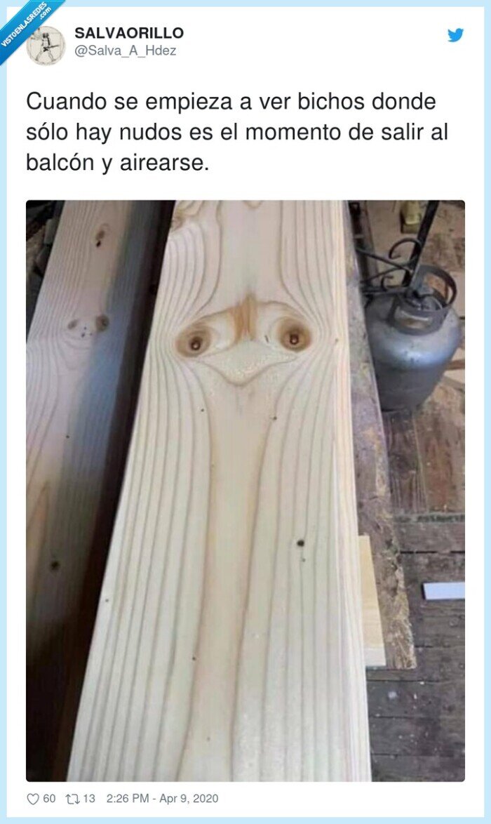 airearse,momento,balcón,bichos