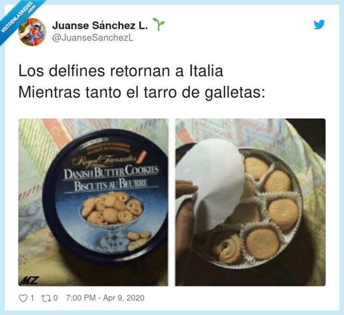 delfines,retornan,mientras,galletas,italia,tanto