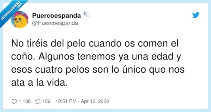 algunos,tiréis,tenemos,cuatro,único