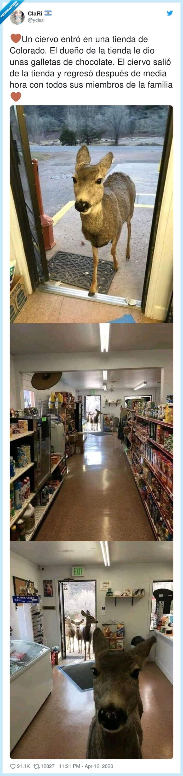 familia,chocolate,galletas,miembros,después,ciervo