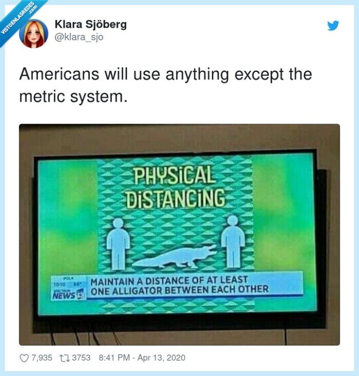 estadounidenses,alligator,cocodrilo,distancia