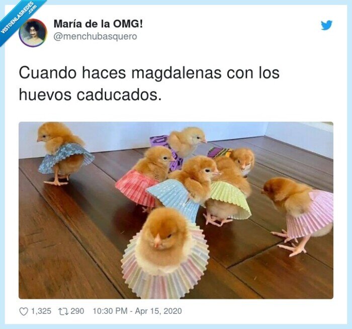 magdalenas,caducados,huevos,pollitos