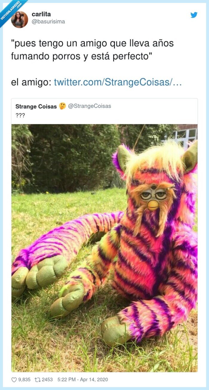 perfecto,fumando,porros,tengo,amigo,lleva