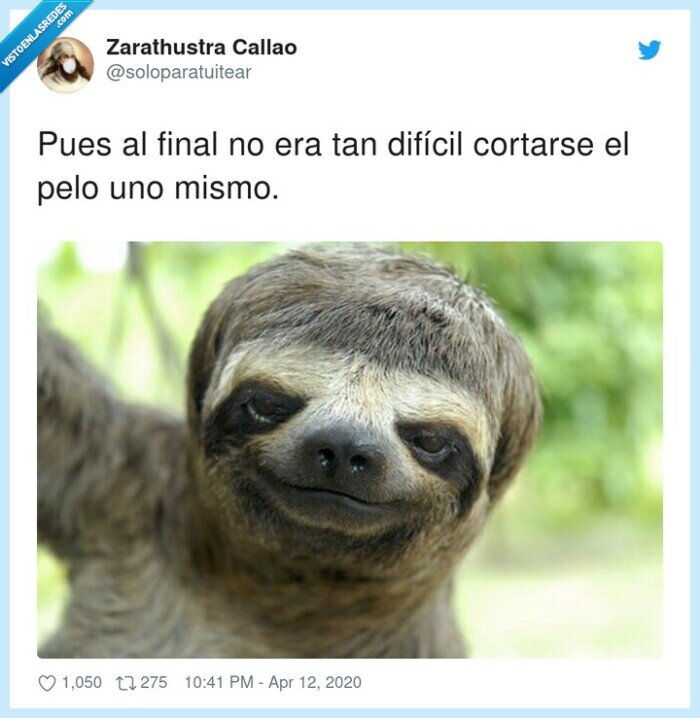 difícil,cortarse,final,mismo,corte de pelo