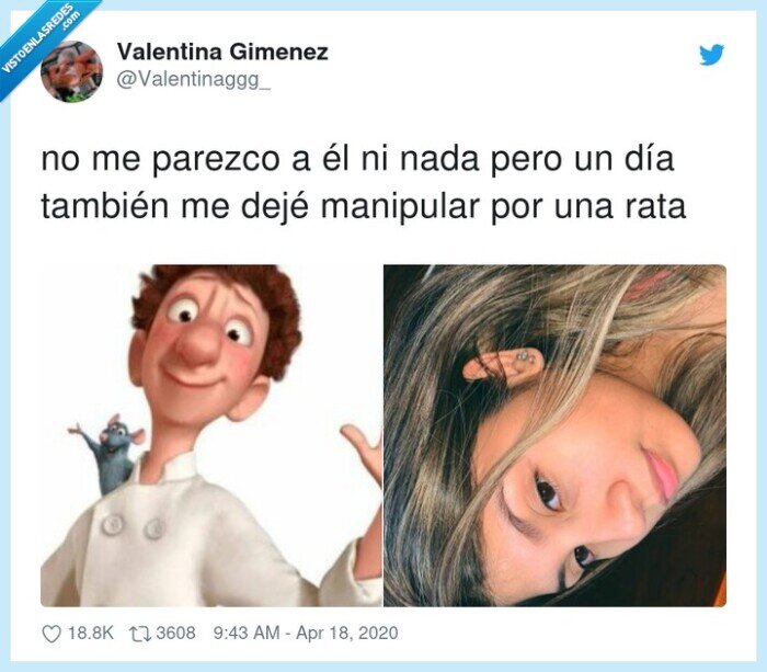 manipular,parecer,ratatouille