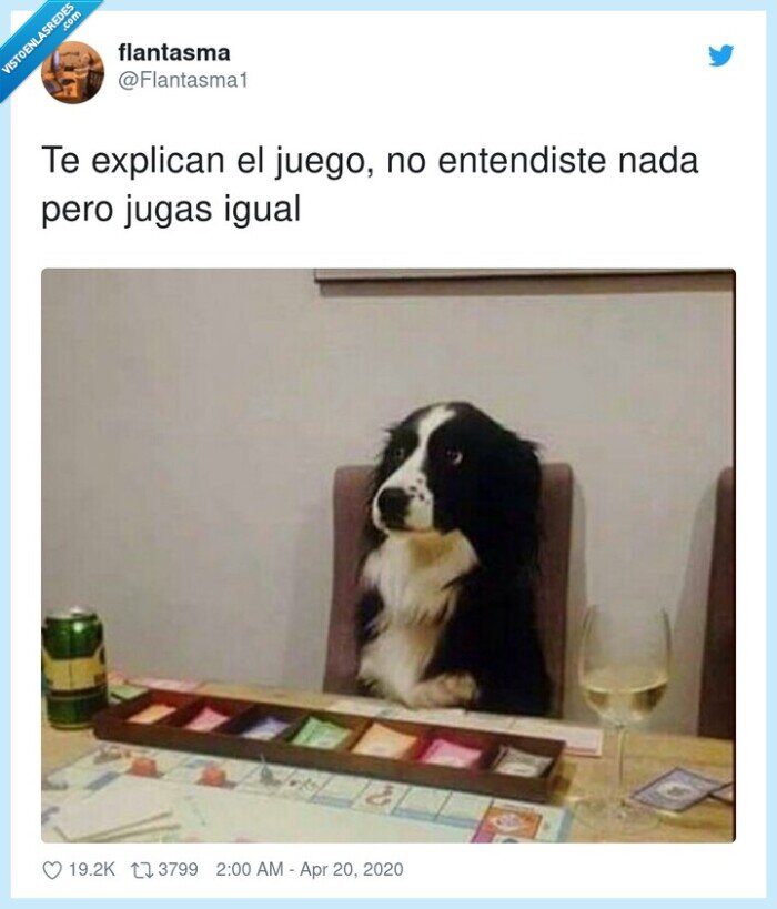 entendiste,explicar,jugar,perro