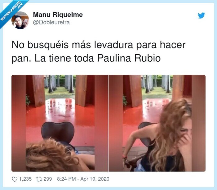 busquéis,levadura,paulina rubio,hacer