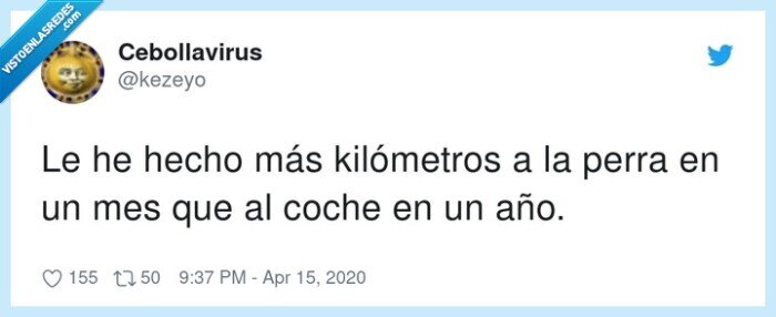 kilómetros,hecho,perra,coche,más,año