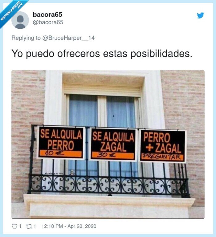 alquiler,posibilidades,ofrecer,niños,balcón,cuarentena,perros