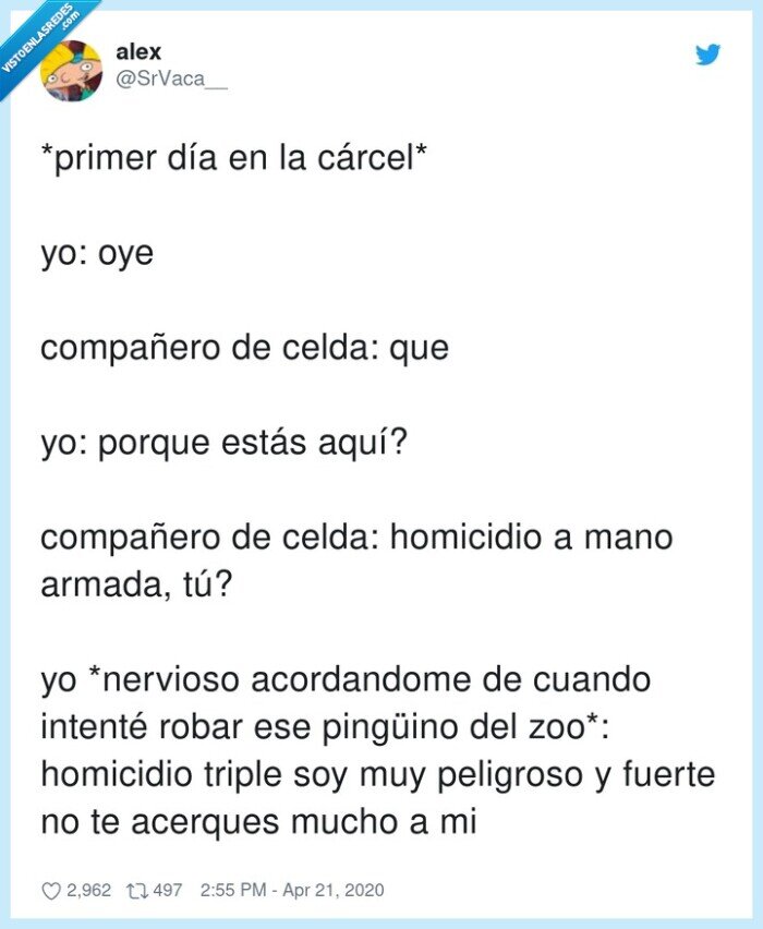 compa&ntilde;ero,nervioso,homicidio,peligroso,ping&uuml;ino