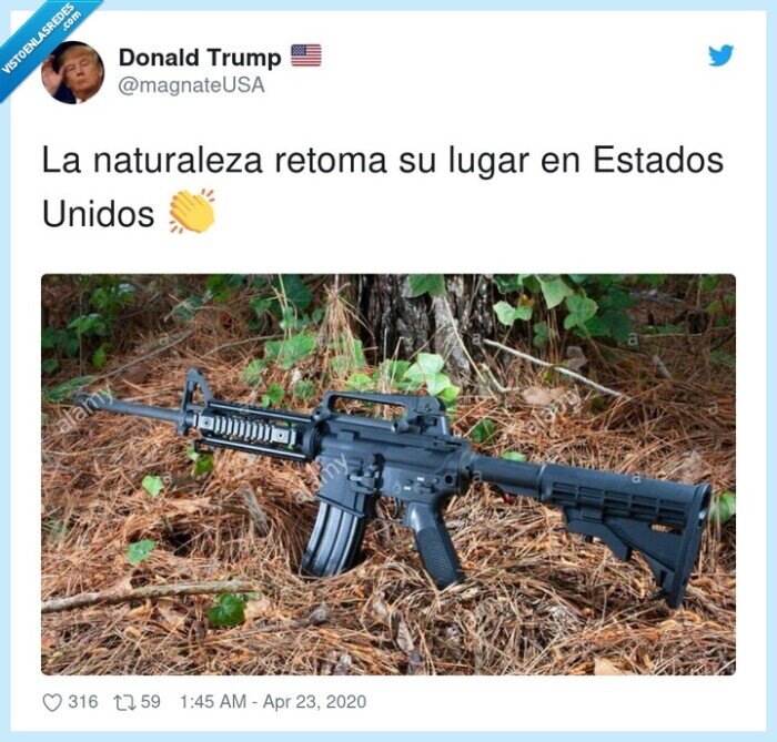 naturaleza,retomar,estados unidos,usa,eeuu,metralleta,armas,coronavirus