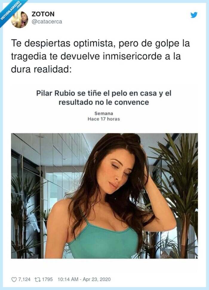 inmisericorde,despiertas,optimista,tragedia,devuelve,realidad,pilar rubio,dramón