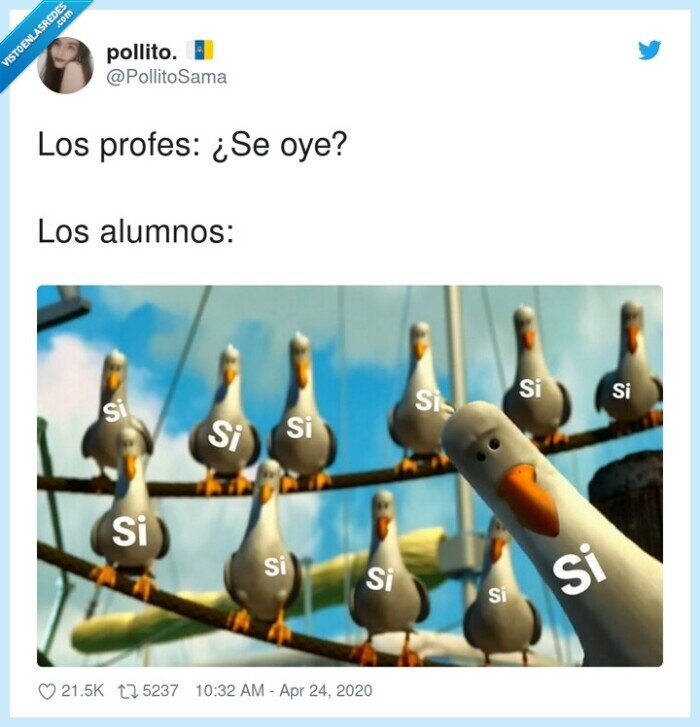 alumnos,profes,oir,clases online,contestar,si,cuarentena