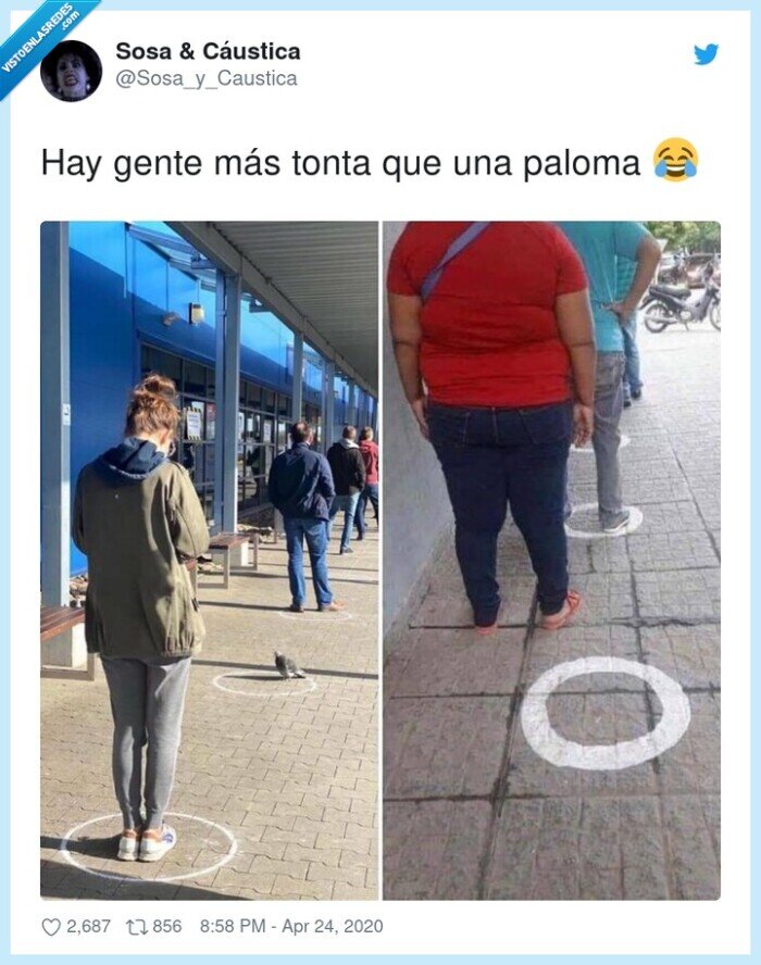 paloma,gente,circulo,cola