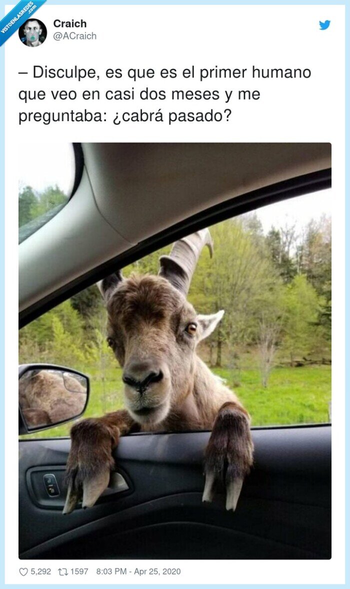 preguntaba,disculpe,primer,humano,cabrá,pasado