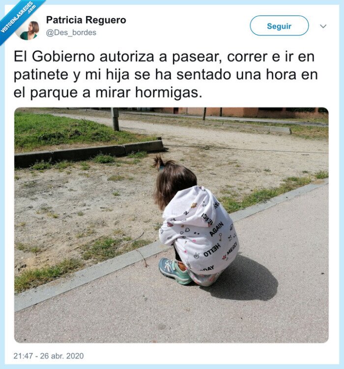 gobierno,autorizar,patinete,hormigas,pasear,sentado,niños