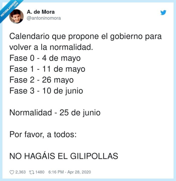 calendario,normalidad,gobierno,cuarentena