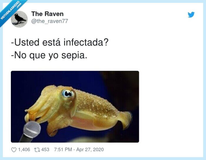 infectada,sepia,chistaco,infectarse